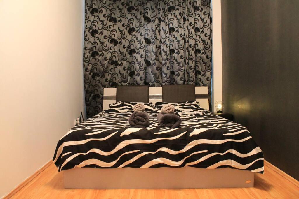קלוז'-נאפוקה Yua'Shomes-Bussiness And Travel Apartment מראה חיצוני תמונה