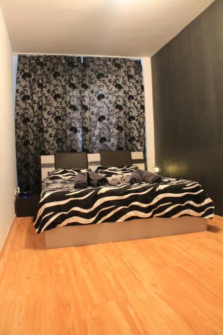 קלוז'-נאפוקה Yua'Shomes-Bussiness And Travel Apartment מראה חיצוני תמונה