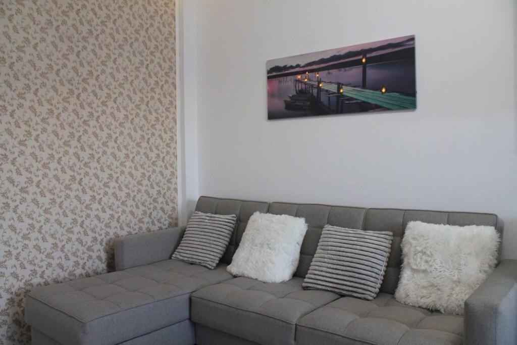 קלוז'-נאפוקה Yua'Shomes-Bussiness And Travel Apartment מראה חיצוני תמונה